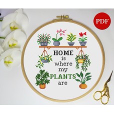 Image Home is where my plants