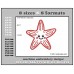 Starfish Applique Embroidery Design Format Size